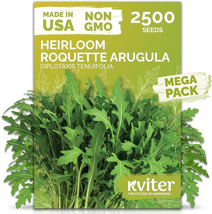 KVITER 2500 Roquette Arugula Seeds (Diplotaxis tenuifolia) - Arugula Fresh Organic & Non GMO Perennial Seed, Wild/Wall Rocket - Heirloom Herb Seeds for Planting in Outdoor & Indoor Garden - Bloomnest