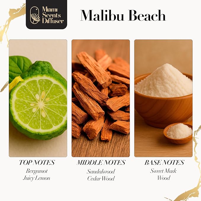 Malibu Beach Scent Inspired by Four Seasons Hotel 4 Fl Oz - 120 ml Essential Oils Aroma for Home Office Diffuser Luxury Fragance Refill Aromatherapy Fresh Blend of Bergamot, Sweet Musk and Sandalwood. MiamiScentsDiffuser