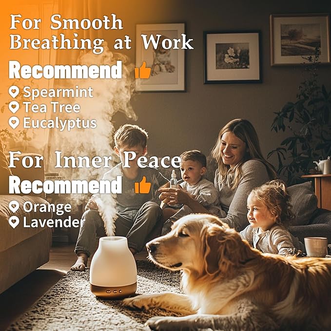 Essential Oils for Diffuser for Home, Top 5 Aromatherapy Oils,Candle&Soap Making,10ml（Orange, Lavender, Peppermint, Eucalyptus, Tea Tree） - Bloomnest