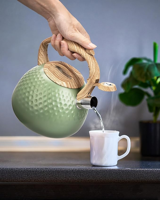Tea Kettle Stovetops, 2.5 Quart Food Grade Stainless Steel Water kettles for Stove Top Teatop with Anti-hot Ergonomic Handle,Suitable for All Heat Sources - Bloomnest