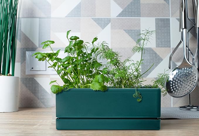 D'vine Dev 12 Inch Window Box Planter, Rectangle Plastic Herb Planter with Drainage Holes and Saucer, Indoor Succulent Cactus Vegetable Pot for Windowsill, Garden Balcony, Green, Set of 1, 76-X-C-1 - Bloomnest