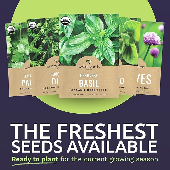 Organic Herb Seeds Variety Pack - 10 Individual Packs - 2025 Season - Basil, Cilantro, Dill, Thyme, Parsley and More! for Indoor & Outdoor Planting (Non-GMO, Certified Organic) - Bloomnest