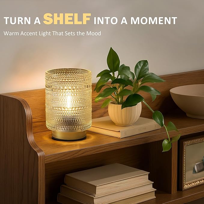 Shelf Decorative Aesthetic Lamp with Timer for Bedside/Coffee Table/Bookshelf Decor,Small Battery Operated Cordless Lamps with Warm Moody Lighting for Dorm/Office/ Patio/Entryway/Cubicle Decor(Clear) - Bloomnest