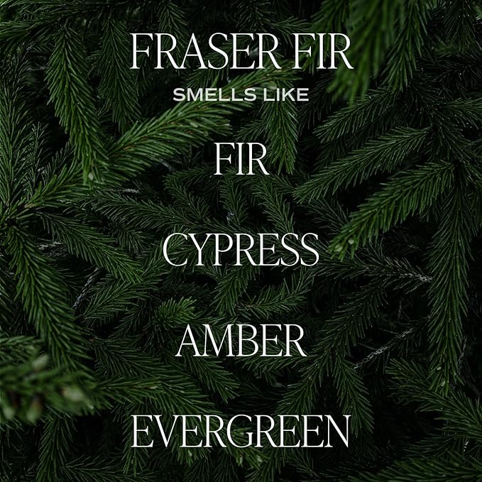 Sweet Water Decor Fraser Fir Christmas Candles - Christmas Stocking Stuffers Cypress, Evergreen & Pine Scented Candles - Scented Candles with 40 Hrs Burn Time - 9Oz Black Lid Amber Jar Wax Candles - Bloomnest