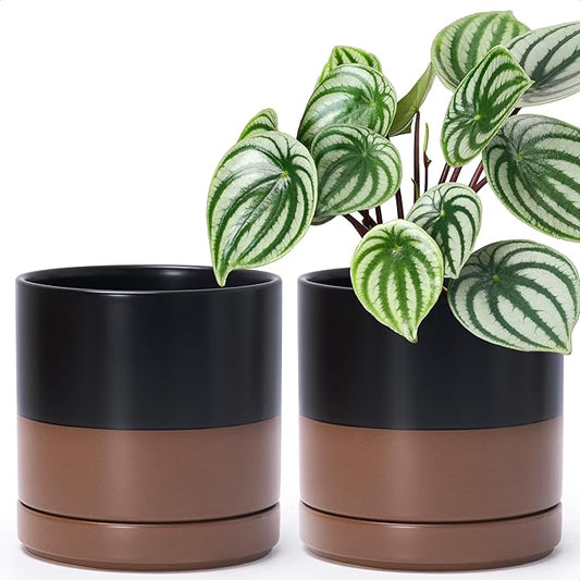 D'vine Dev Set of 2 Plants Pots, 6 Inch Ceramic Planter Pot for Plants with Drainage Hole and Saucer, Black/Speckled Tan, 94-V-C-7 - Bloomnest