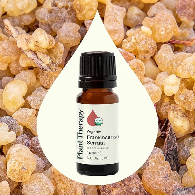 Plant Therapy Organic Frankincense Serrata Essential Oil 100% Pure, USDA Certified Organic, Undiluted, Natural Aromatherapy, Therapeutic Grade 10 mL (1/3 oz) - Bloomnest