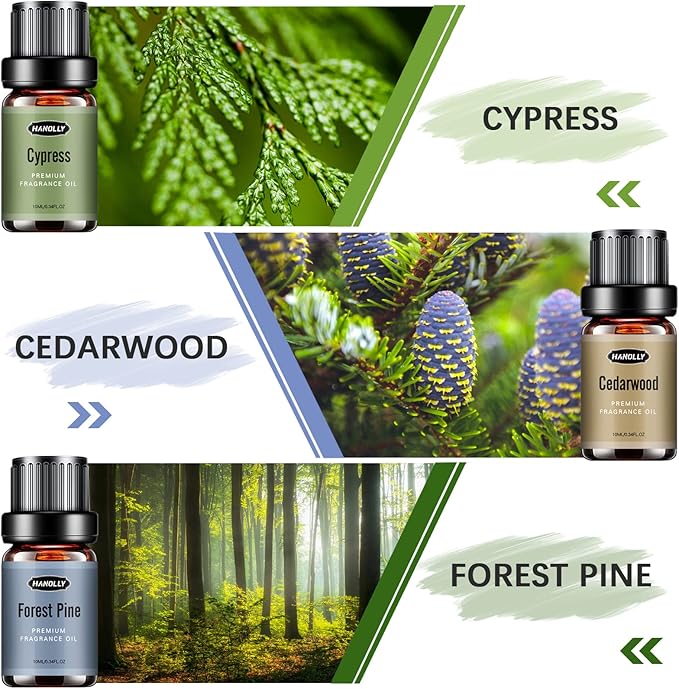 Woody Essential Oils Set, Woody Scents Fragrance Oil Aromatherapy Essential Oils Kit for Diffuser (6x10ML) - Sandalwood, Cedarwood, Teakwood, Agarwood, Cypress, Forest Pine Aromatherapy Oils - Bloomnest