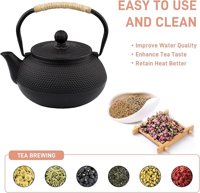 20.3oz Only, Small Tea Kettle for 1-2 Cups, Japanese Tetsubin, Cast Iron Teapot with Stainless Steel Infuser for Loose Leaf & Coffee, Tea Pot for Stovetop Safe, Enamel Interior(Black, 600ml) - Bloomnest