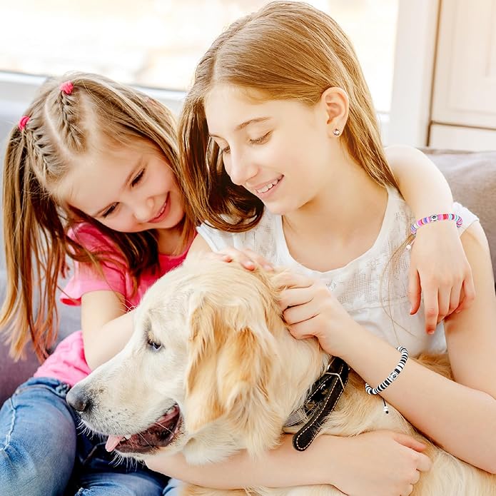 TONY & SANDY Dog Memorial Gifts, Pet Sympathy Rainbow Bridge Pet Memorial Bracelet for Men Women Girls Who Loss of Beloved Dog Cat - Bloomnest