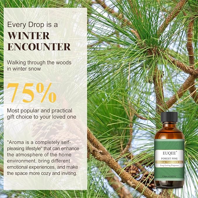 EUQEE Forest Pine Fragrance Oil Premium Fragrance Essential Oil 2.02 Fl oz with Glass Dropper for Diffusers, Soap Making, DIY Candle (60ml) - Bloomnest