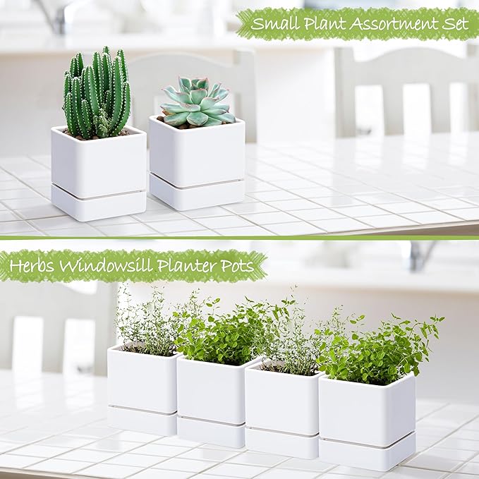 4 Inch Herb Planter Pot, Plastic Planter with Drainage Holes and Saucer, Modern Decorative Gardening Pot for Indoor Plants, Flowers, Herbs, Succulents, White, Set of 4, 76-Y-A-4 - Bloomnest