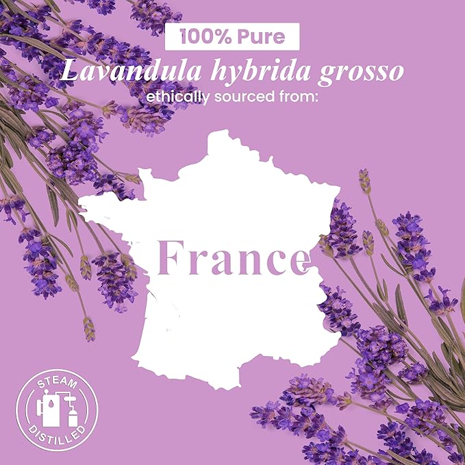 Handcraft Blends Lavender Essential Oil – Huge 4 Fl Oz – 100% Pure and Natural – Premium Grade Essential Oil for Diffuser and Aromatherapy, Skin, Massage, Candle and Soap Making Fragrance - Bloomnest