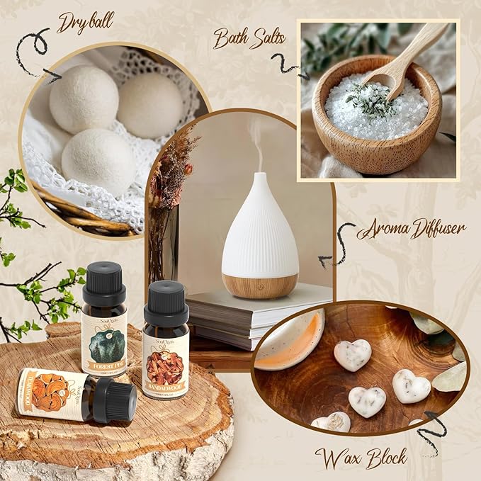 Woody Essential Oils Set, Fragrance Oil Set for Diffuser, Scent Diffuser Oil for Candle Making- Sandalwood, Cedar, Bamboo, Teak, Vetiver, Forest Pine - Bloomnest