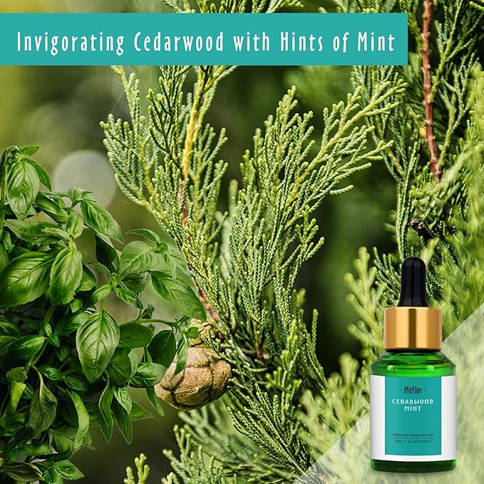 Cedarwood Mint Fragrance Oil, MitFlor Single Scented Oil, Premium Grade Fragrance Oil for Candle Making, Soap Making Scents, Large Size Aromatherapy Oil, Forest Scents for Home Fragrance, 30ml - Bloomnest