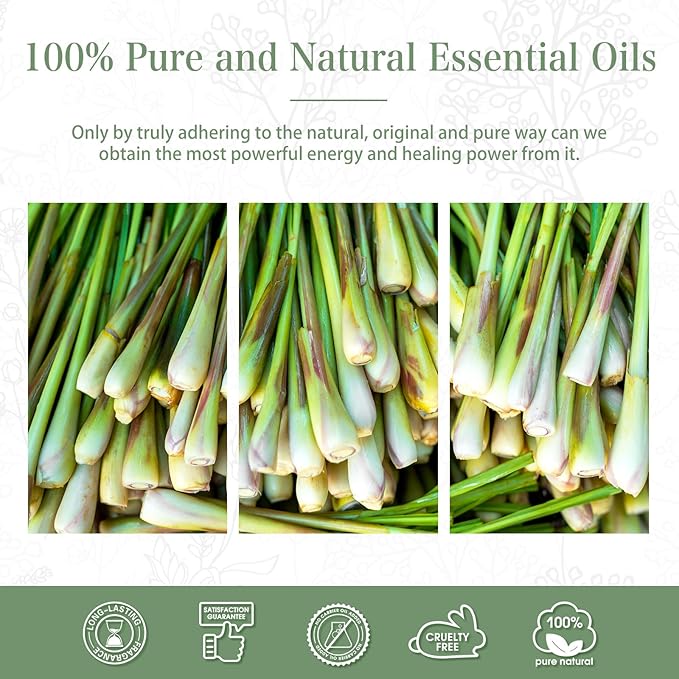 PHATOIL 100ML Citronella Essential Oil, for Aromatherapy Diffusers, Humidifiers, Great for DIY Candle and Soap Making, Gift for Friend PHATOIL