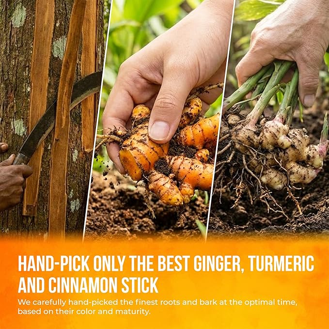 FreshDrinkUS, Premium Turmeric Ginger Cinnamon Tea Bags | 75 Tea Bags | Herbal Spice Tea Blend, Naturally Caffeine Free, Warm & Aromatic Flavor, 100% Natural Ingredients, Convenient Tea Bags - Bloomnest