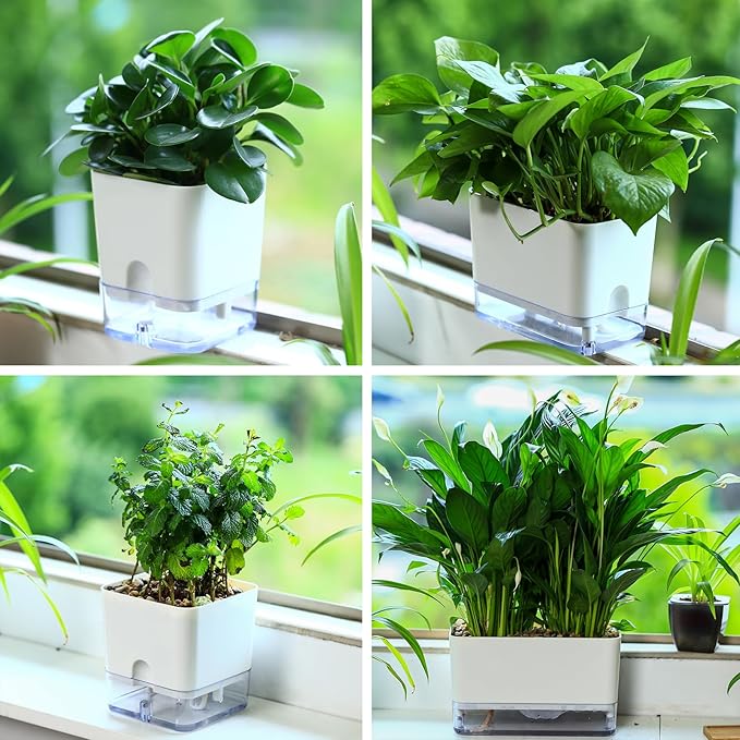 Planterhoma Self Watering Plant Pots for Indoor Plants 4.3 inch, 6 Packs Square Self-Watering Planters with Drainage Hole, White African Violet Pots for Devil's Ivy, Spider Plant, Orchid, Herb - Bloomnest