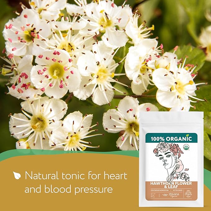 Organic Hawthorn Tea Bags - Hawthorne Leaf & Flower - Herbal Tea for Pressure Balance, Heart Health - Espino Blanco Hoja - 40 Teabags - Bloomnest