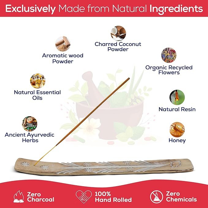 Satya Dragon Blood Incense Sticks, Satya Bng (Bangalore) Insenses 15gmx12 Pack with Raajsee Incense Holder Bundle, Satya Nag Champa Natural Incense - Bloomnest