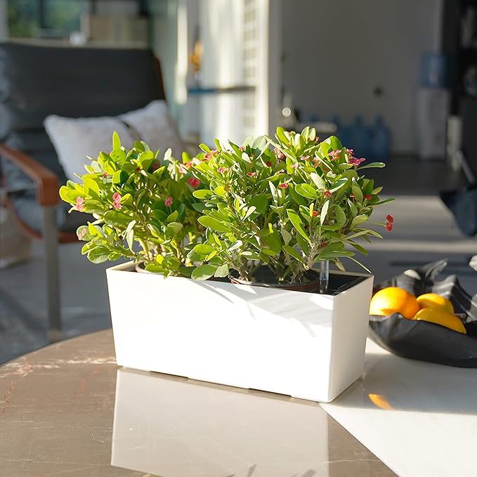 SAROSORA 14" Rectangle Self Watering Planter with Water Level Indicators for Plants & Flower Home Garden Outdoor Indoor Succulent | Herb pots | Window Box (1, White) - Bloomnest
