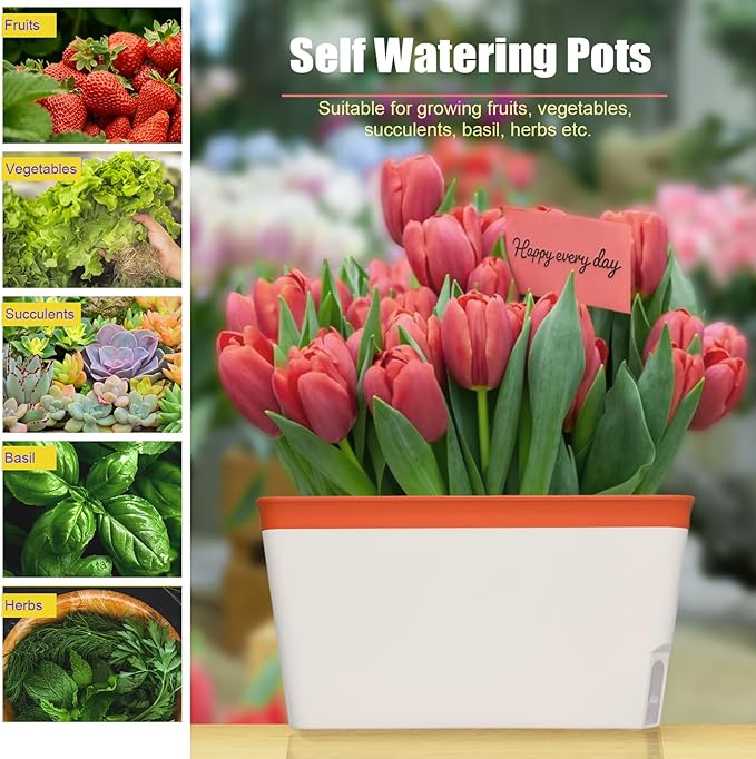 OurWarm Windowsill Herb Planter Box, Set of 3 Self Watering Plant Pots, 10.5 Inch Rectangular Planter Pot, Decorative Garden Flower Pots for Indoor Plants, Herbs, Vegetables, Flowers (3 Colors) - Bloomnest