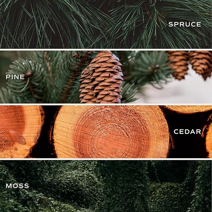 Sweet Water Decor Christmas Tree Soy Candle - Pine Needles, Cedarwood, Cypress, and Evergreen Holiday Scented Candles for Home - 11oz White Jar + Wood Lid, 50+ Hour Burn Time, Made in The USA - Bloomnest