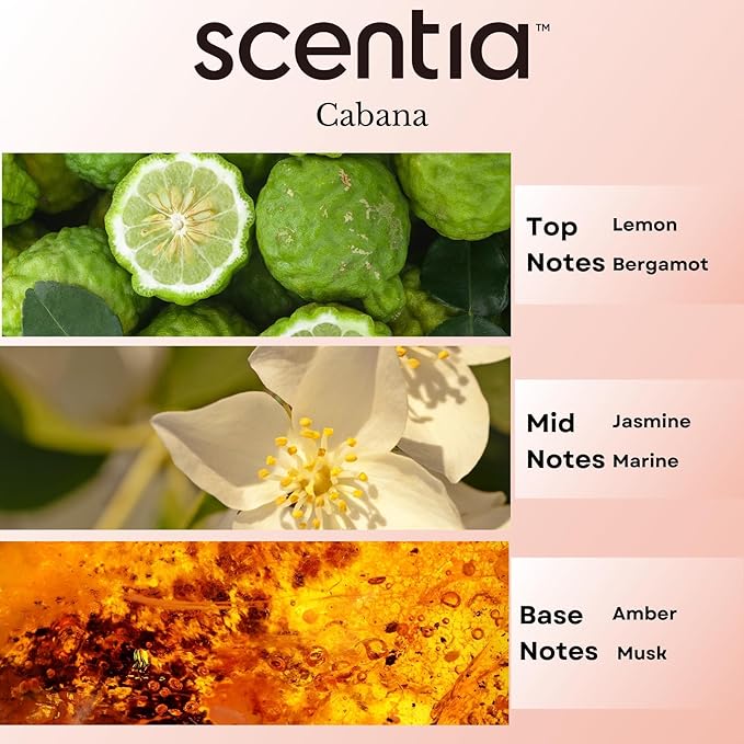 Scentia Hotel Diffuser Oil Inspired by 5-Star Hotel Scent - 20 mL 0.67 fl oz - Fragrance Oil Blend Botanical Jasmine, Bergamot & Fresh Marine Notes for Aromatherapy Diffusers - Cabana - Bloomnest