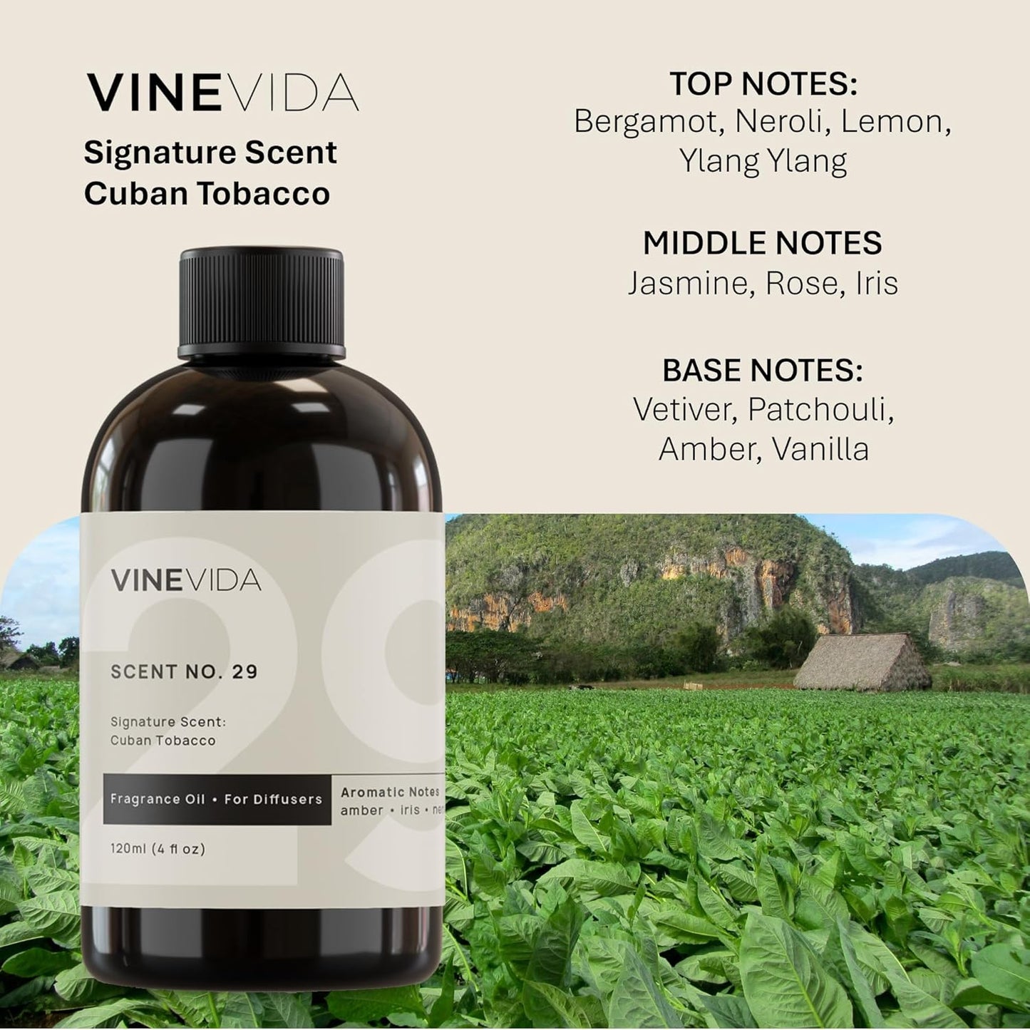 VINEVIDA [Gallon (128 Fl Oz)] Cuban Tobacco Fragrance Oil for Cold Air Diffusers, Essential Oils for Diffuser Oil Refill & Air Freshener Room Spray