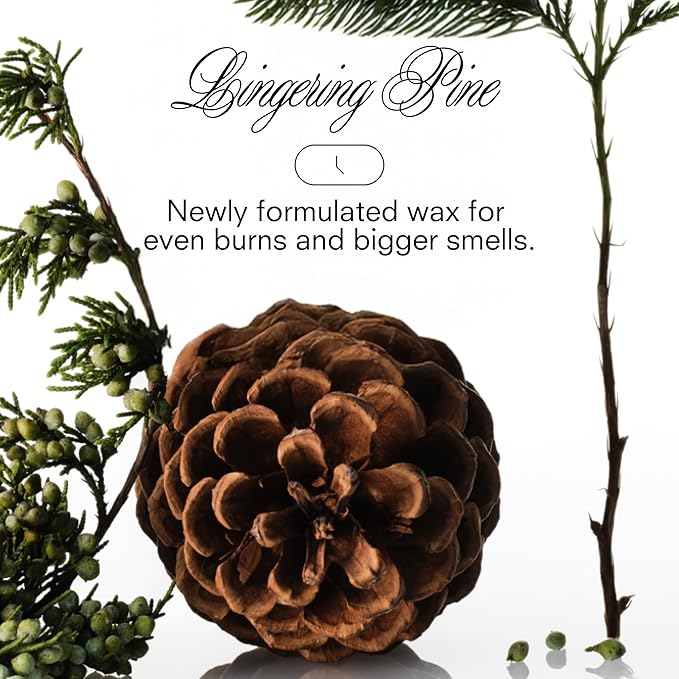 Boy Smells XXMAS Tree Candle – Holiday Soy Candle with Juniper, Evergreen & Winter Air – Fresh Pine Scented Candle for Home Décor & Christmas Gifting – 8.5oz - Bloomnest
