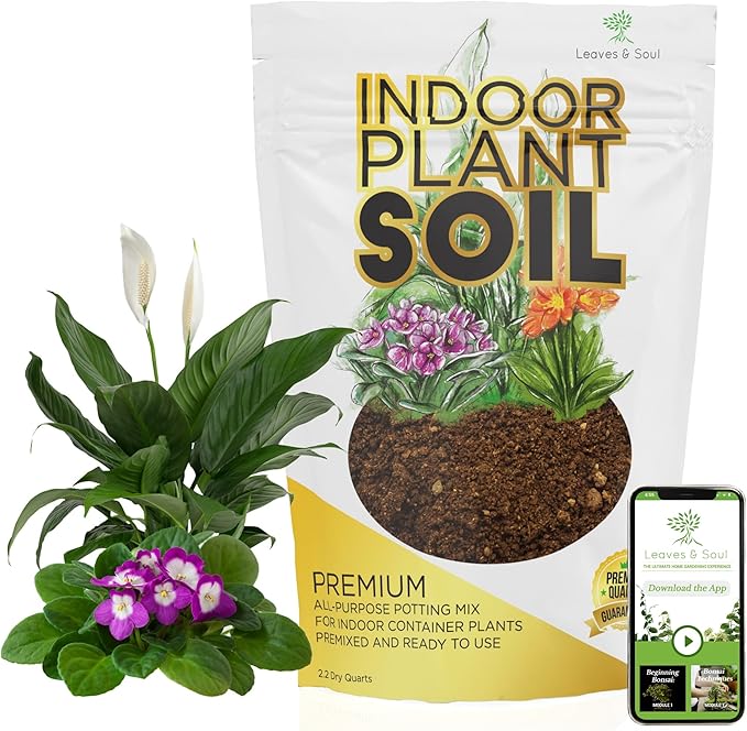 Indoor Plant Soil Premium All Purpose Blend | Large 2.2 Quarts | Ready to Use for Indoor Container and Houseplants | Peat, Coco Coir, Perlite, Dolomite | Made in USA - Bloomnest
