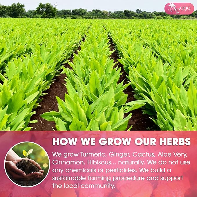 TOG999, Premium Blood and Sugar Balance Tea | 100gr - 3.5oz | 100% Natural Turmeric, Ginger, Cactus Nopal, Aloe Vera, Bay Leaf, Cinnamon & Hibiscus - Loose Powder Herbal Blend – Caffeine-Free Tea