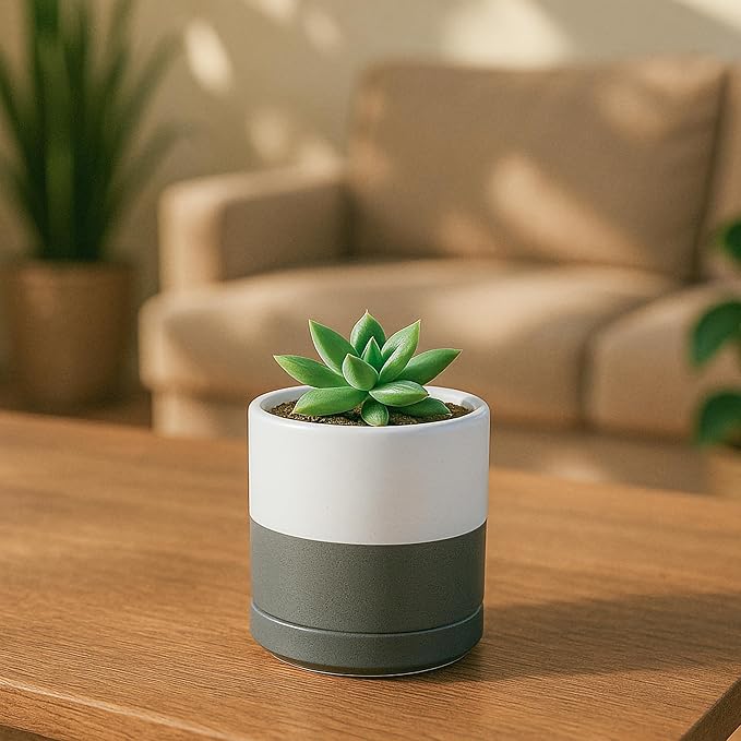 D'vine Dev 3.5 Inch & 4.7 Inch Ceramic Planter Pots for Plants with Drainage Hole and Saucer, X-Small Plant Pots Set, White/Speckled Grey, 94-G-XS-6 - Bloomnest