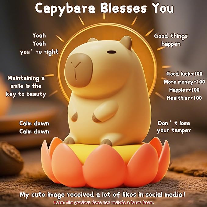 Cute Capybara Night Light, LED Squishy Novelty Animal Night Lamp,2 Levels Dimmable/Timer Nursery Nightlight for Kids, Rechargeable Touch Bedside Lamp, Bedroom/Dorm Decor, Baby Boys Girls Gifts - Bloomnest