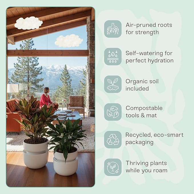 Tendril The SWAP+ Self-Watering Planter | 10" Ceramic Indoor Pot with Air-Pruning Liner, Tools & Repotting Mat - Bloomnest