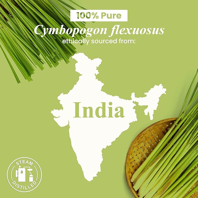 Handcraft Blends Lemongrass Essential Oil – 1 Fl Oz – 100% Pure and Natural – Premium Grade Essential Oil for Diffuser and Aromatherapy, Skin, Massage, Candle and Soap Making Fragrance - Bloomnest