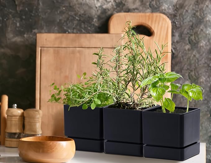 4 Inch Herb Planter Pot, Plastic Planter with Drainage Holes and Saucer, Modern Decorative Gardening Pot for Indoor Plants, Flowers, Herbs, Succulents, Black, Set of 6, 76-Y-B-6 - Bloomnest