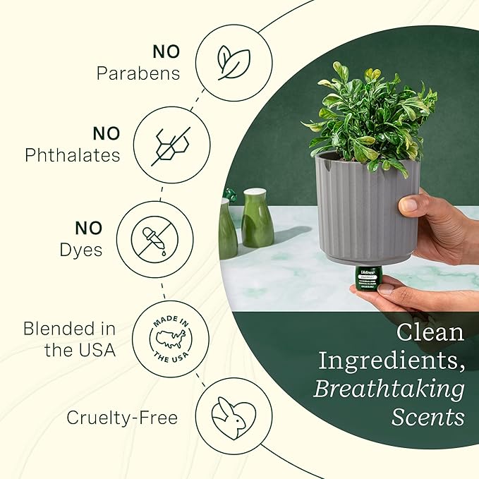 ClickWick Essential Oil Blends for Lifelines Diffusers, 3-Pack Walk in The Woods Set - Essential Oil Blend Refill for Candle, Plant & Shower Aromatherapy Diffuser - Fragrance for Diffusers - Bloomnest