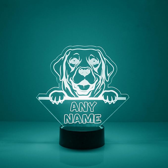 Dog LED Light for Dog Lovers, Custom Engraved with Your Name or Text, Includes Remote with 16 Colors (Labrador Retriever) - Bloomnest