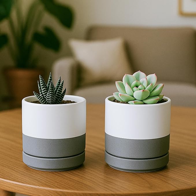 D'vine Dev Set of 4 Small Ceramic Plant Pots, 3.5 Inch Succulent Planter Pot for Plants with Drainage Hole and Saucer, White/Speckled Grey, 94-X-A-6 - Bloomnest