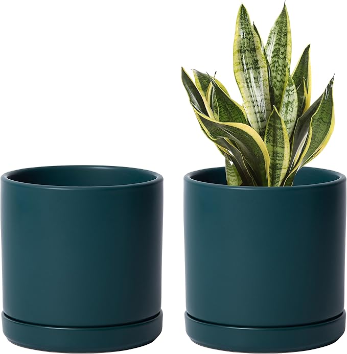 D'vine Dev Set of 2 Plants Pots, 6 Inch Ceramic Planter Pot for Plants with Drainage Hole and Saucer, Teal, 94-V-C-9 - Bloomnest