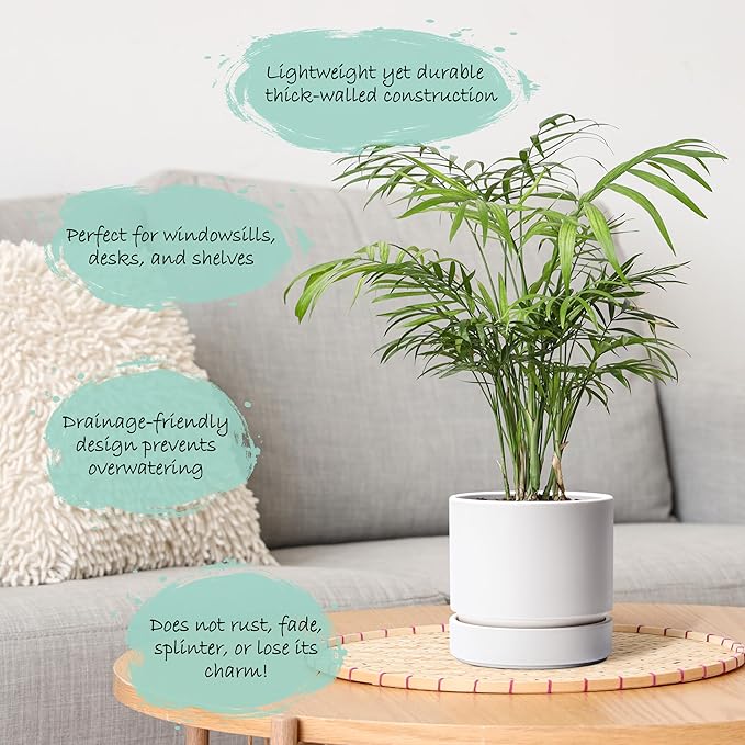 6 Inch Modern Plastic Round Pots for Indoor Houseplants and Herbs, Pack of 3 Planter Pot with Drainage Hole & Saucer, Deep Water Catch Tray, Straight Cylindrical Pot for Plants, Matte White, 23-D-S-1 - Bloomnest