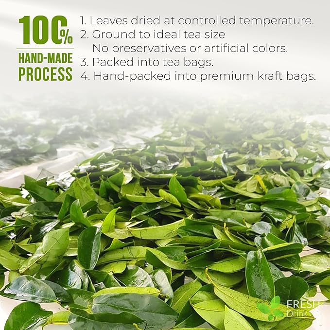 FreshDrinkUS, Premium Soursop Graviola Leaf Tea | 45 Tea Bags form Powder, 100% Natural and Pure, Handmade, Made With Natural Materials-Corn Fiber Tea Bag, Sugar/Caffeine Free, Hoja Guanabana Tea - Bloomnest