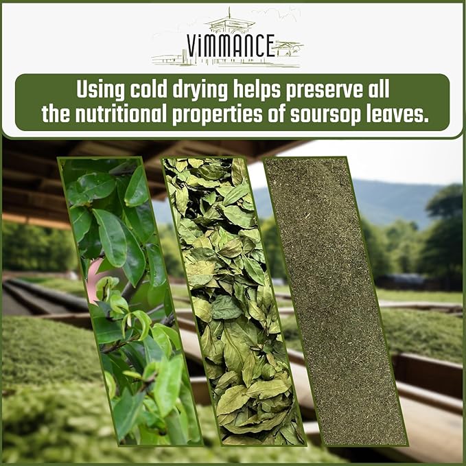 VIMMANCE Soursop Tea Bags, Graviola, Guanabana Tea, Vietnamese Herbal Tea, 100% Natural, Gluten Free, Caffein Free, Sugar Free, Not Bitter but Balance Taste (50 Tea Bags) - Bloomnest