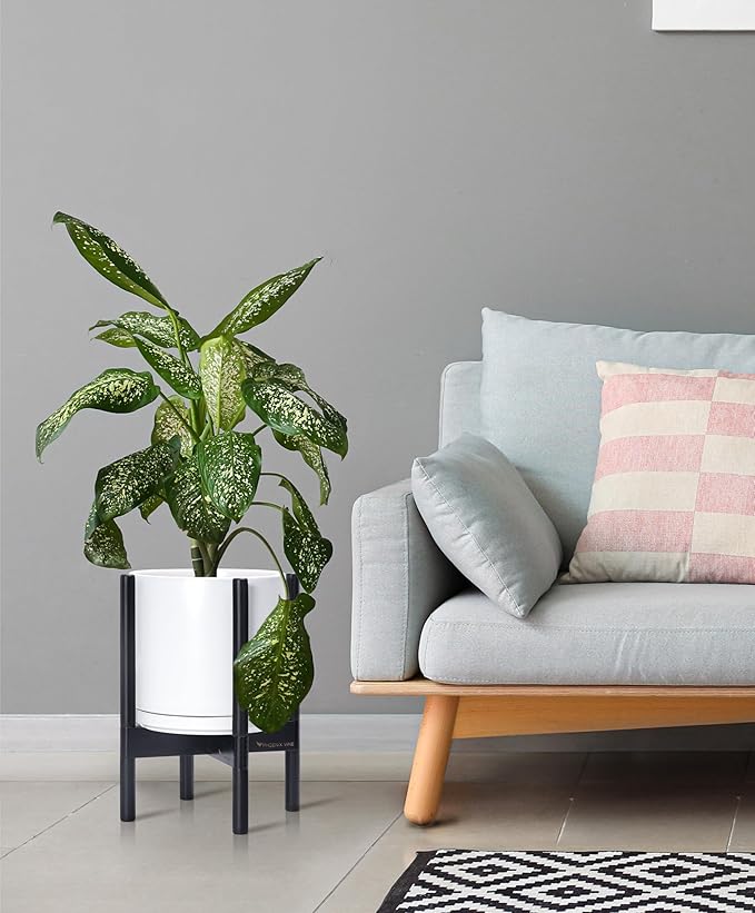 D'vine Dev Ceramic Planter with Ebony Stand - 10 Inch Modern Round Flower Pot with Wood Planter Holder, White, 55-B-L-1 - Bloomnest