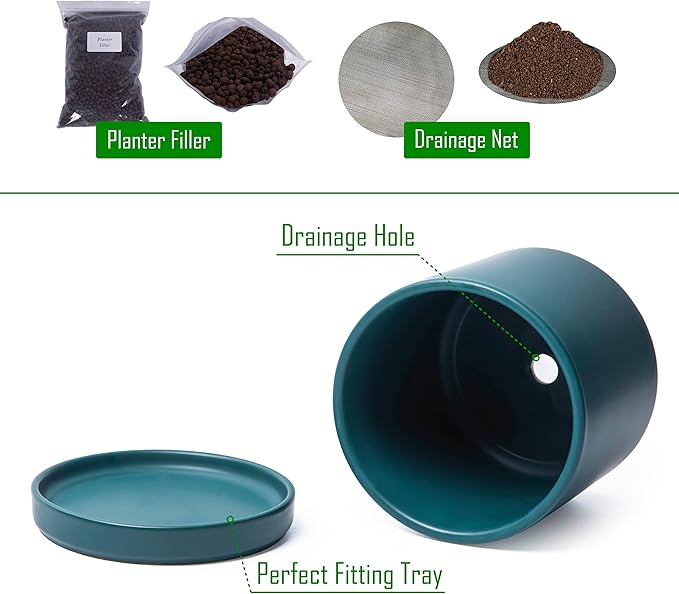 D'vine Dev Set of 2 Plants Pots, 6 Inch Ceramic Planter Pot for Plants with Drainage Hole and Saucer, Teal, 94-V-C-9 - Bloomnest
