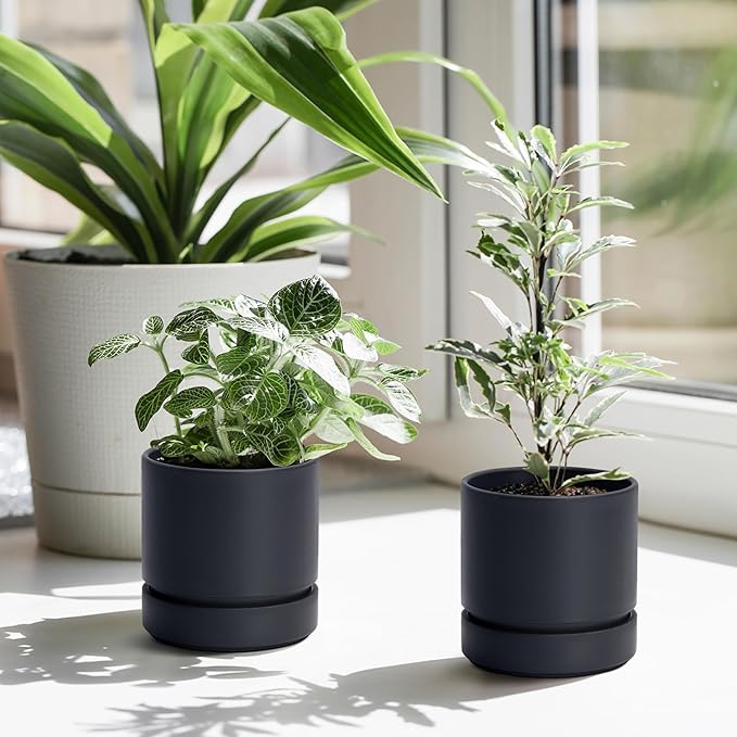 4 Inch Modern Plastic Round Pots for Indoor Houseplants and Herbs, Pack of 3 Planter Pot with Drainage Hole & Saucer, Deep Water Catch Tray, Straight Cylindrical Pot for Plants, Matte Black, 23-D-R-2 - Bloomnest
