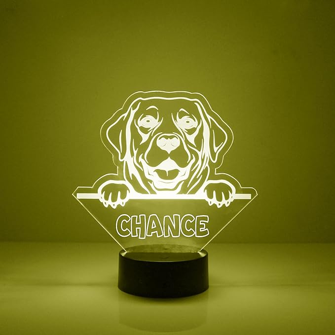 Dog LED Light for Dog Lovers, Custom Engraved with Your Name or Text, Includes Remote with 16 Colors (Labrador Retriever) - Bloomnest