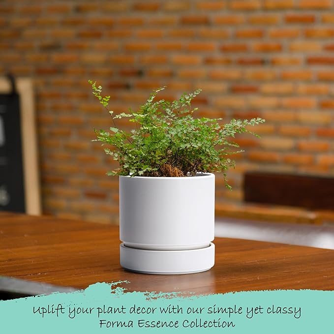 4 Inch Modern Plastic Round Pots for Indoor Houseplants and Herbs, Pack of 3 Planter Pot with Drainage Hole & Saucer, Deep Water Catch Tray, Straight Cylindrical Pot for Plants, Matte White, 23-D-R-1 - Bloomnest