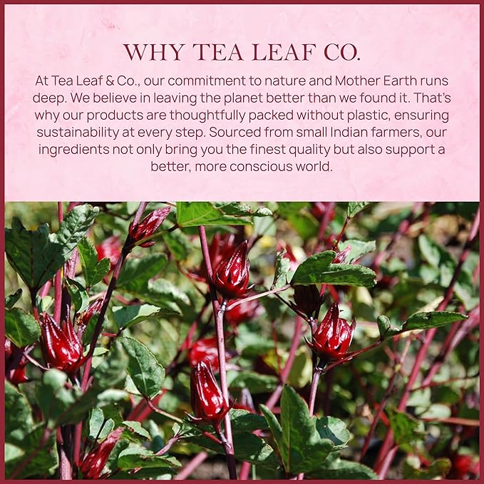 Tealeaf & Co. Hibiscus Tea with Hibiscus Flowers Extract - Pure Herbal Tea Bags Blended with Fresh Herbs - Flavored Herbal Blend - Low Caffeine - Gluten Free - 50 Teabags - Bloomnest