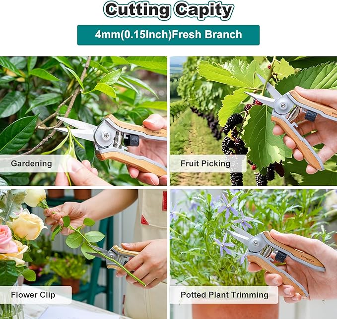 Berry&Bird Mini Pruning Shears for Gardening Straight Blades Hand Pruners with Wooden Handle Garden Scissors Snips Stainless Steel Trimming Small Clippers Bonsai Compact Size Shearing Tool - Bloomnest